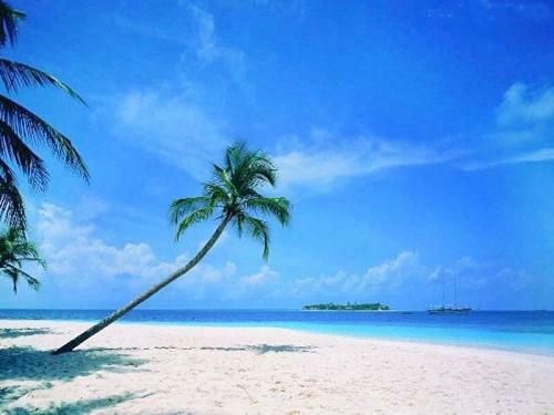 Sanya Tropical Coast Hotel Esterno foto